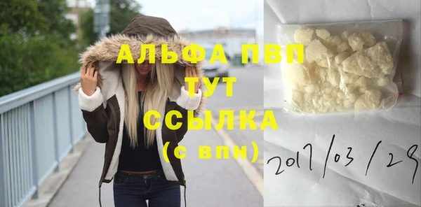 СК Алзамай