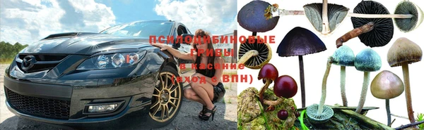 соль ск Алексин